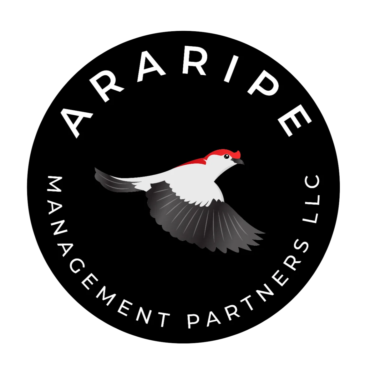 Araripe Management Partners LLC